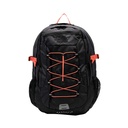 The North Face Borealis Classic 29L