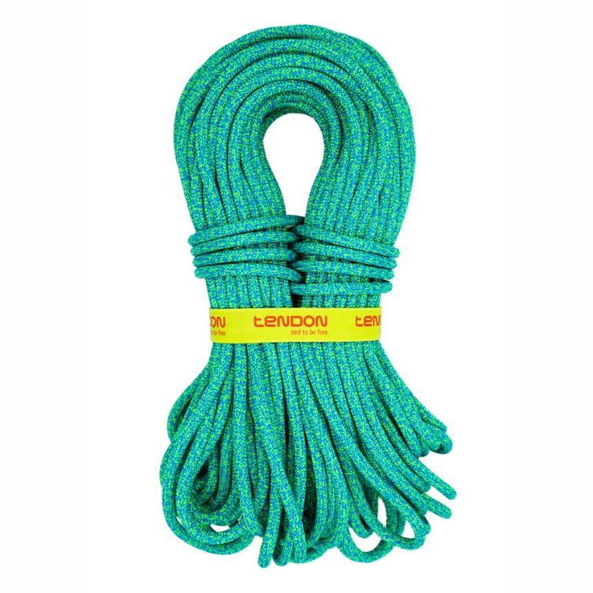 Tendon Anniversal 9.5